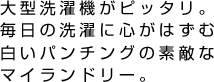 大型洗濯機がピッタリ。毎日の洗濯に心がはずむ白いパンチングの素敵なマイランドリー。